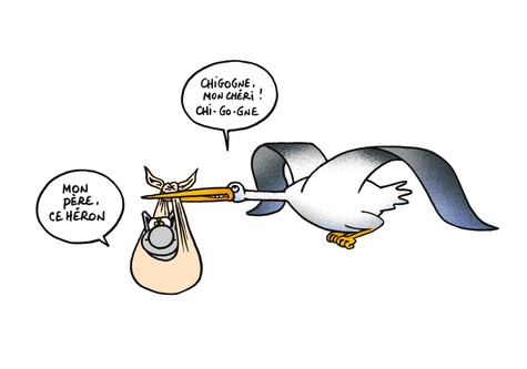 Bons Baisers Du Chat Philippe Geluck Payot