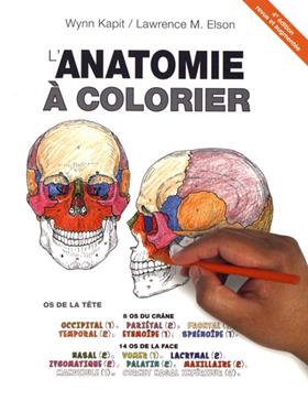 L'INCONTOURNABLE DE L'ANATOMIE